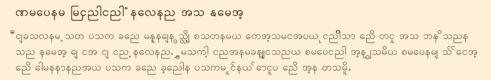 9-Burmese