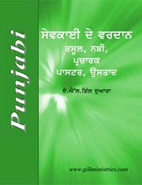 9-Cover Punjabi MiG