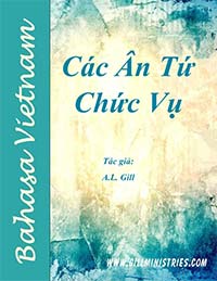 11 Cover for Vietnamese MiG Manual