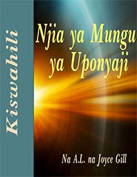 3-Cover for Swahili Healing Manual