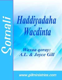 9-Cover-Somali-MiG